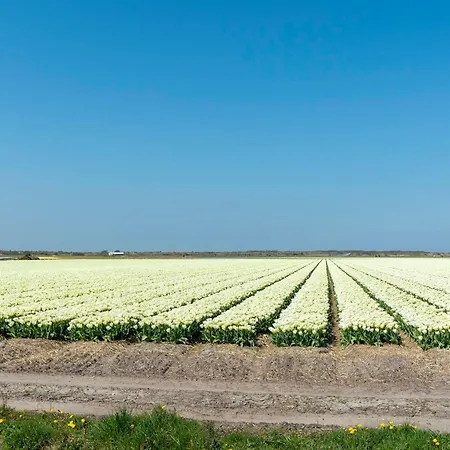Near Groote Keeten 別荘