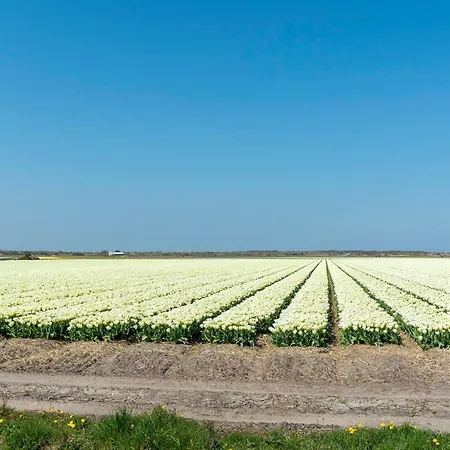 Near Groote Keeten Semesterbostad