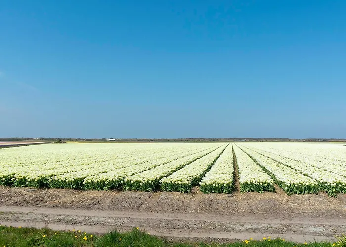 Near Groote Keeten 펜션